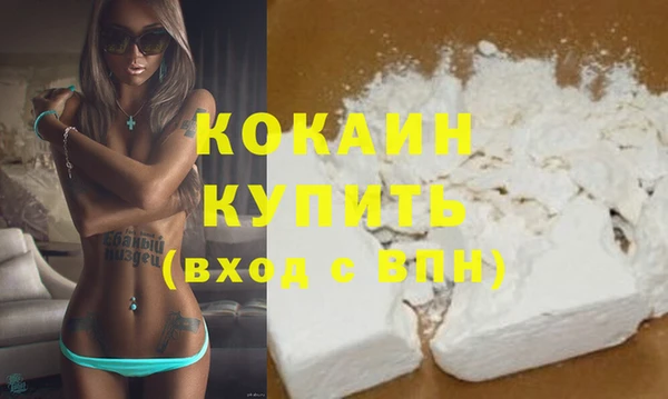 стаф Аркадак