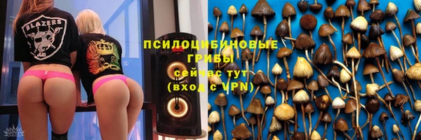 стаф Аркадак
