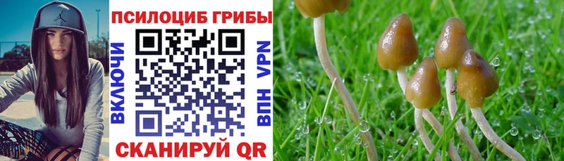 Псилоцибиновые грибы мицелий  Кандалакша 